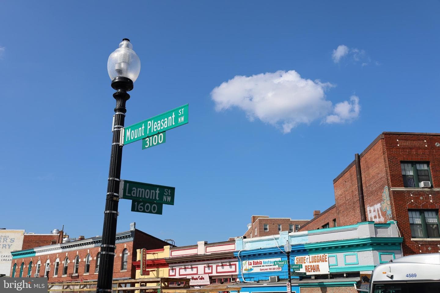 3602 16th Street NW #4 photo 46