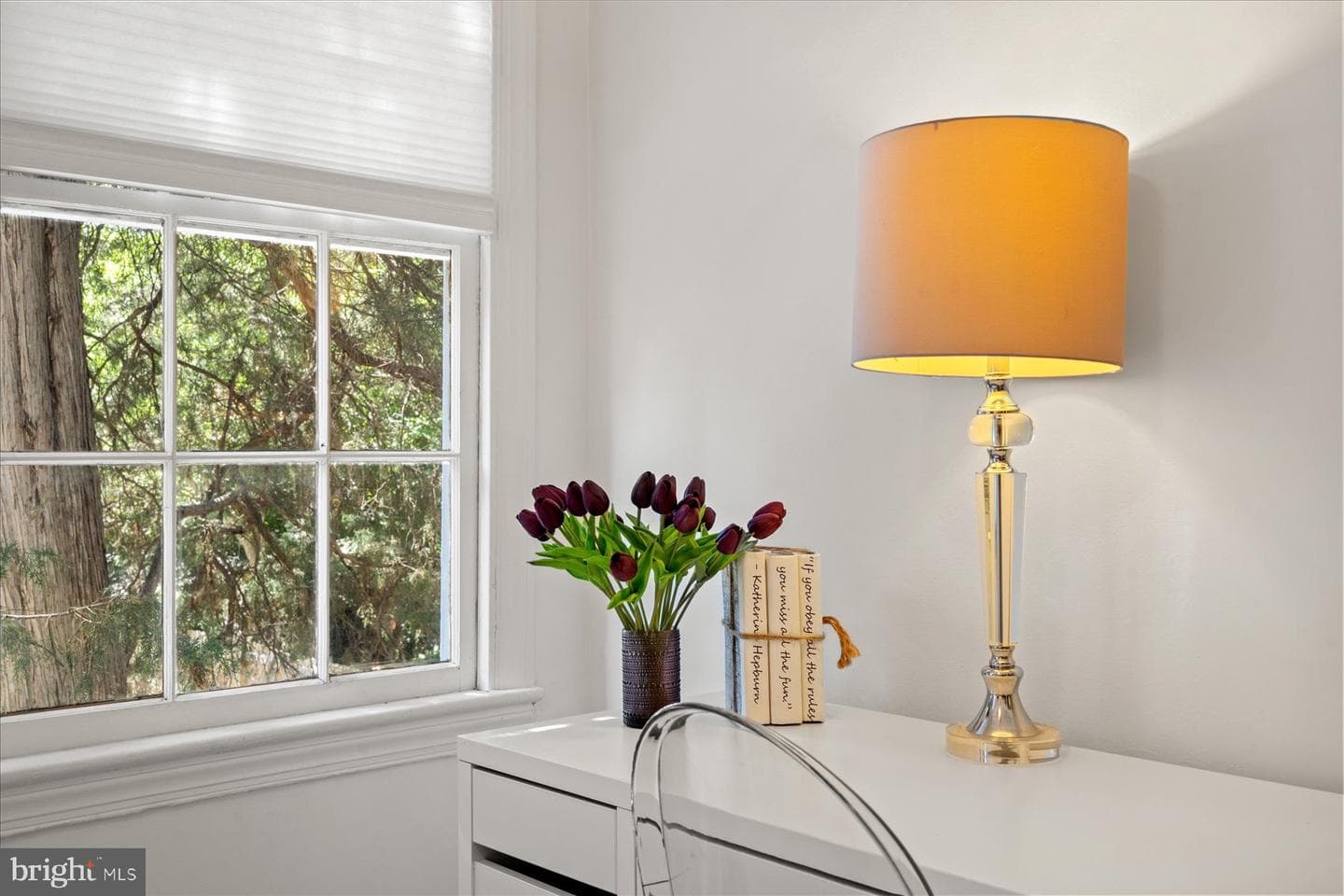 1062 Thomas Jefferson Street NW photo 41