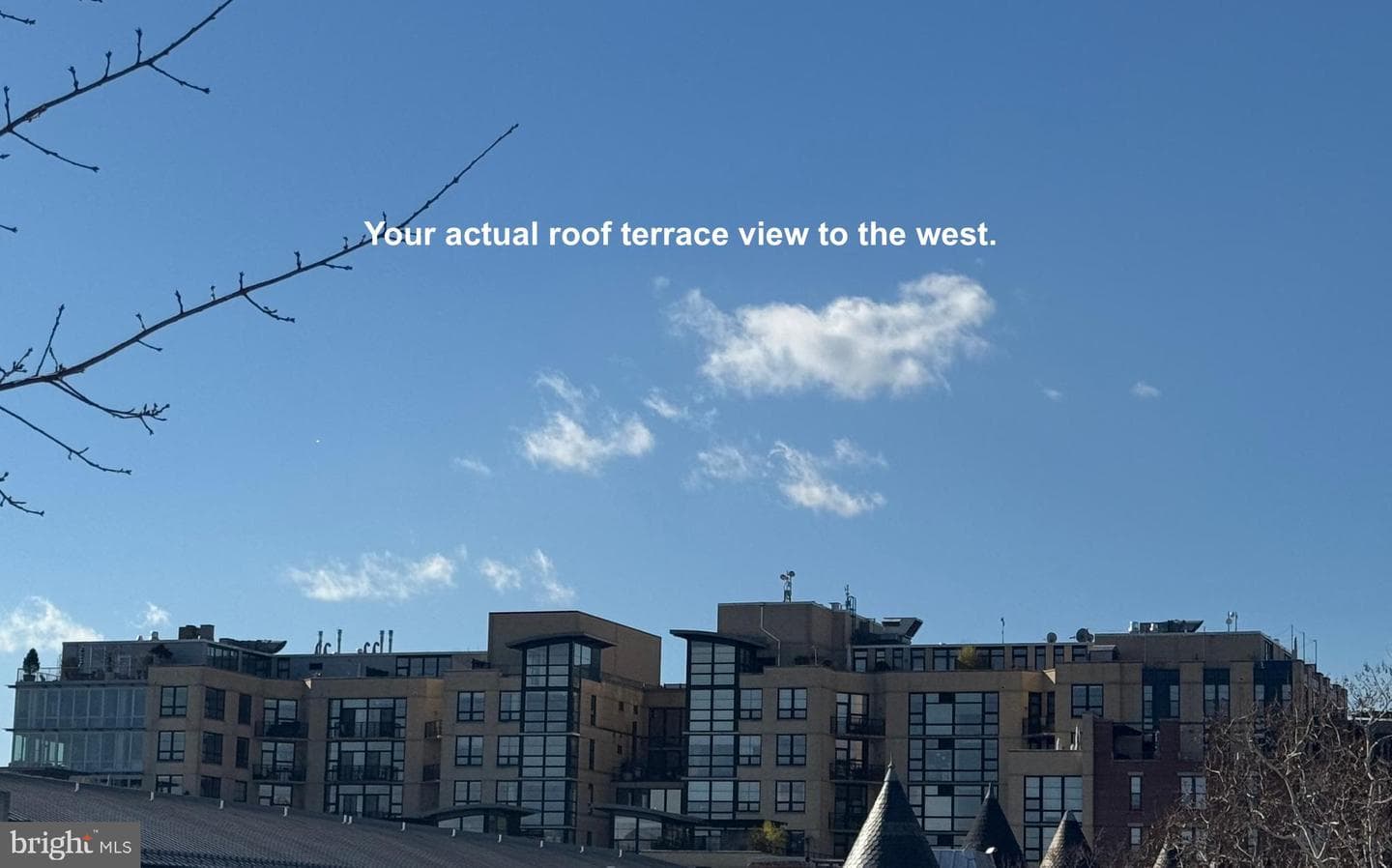 1235 W Street NW #b3 photo 17