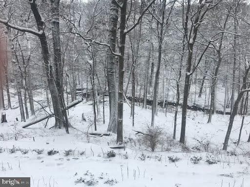 3001 Veazey Terrace NW #322 photo 10