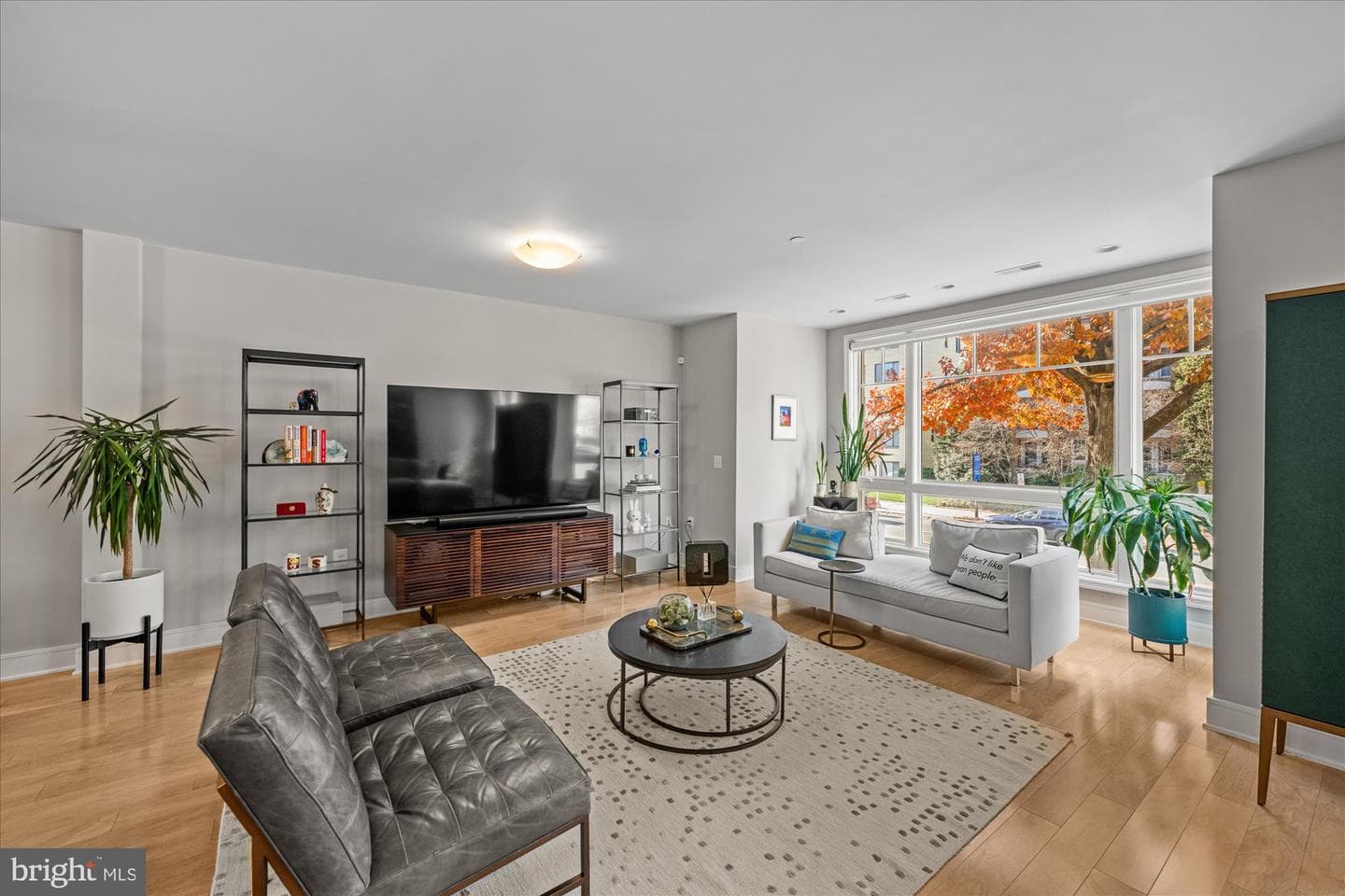 5105 Connecticut Avenue NW #3 photo 4