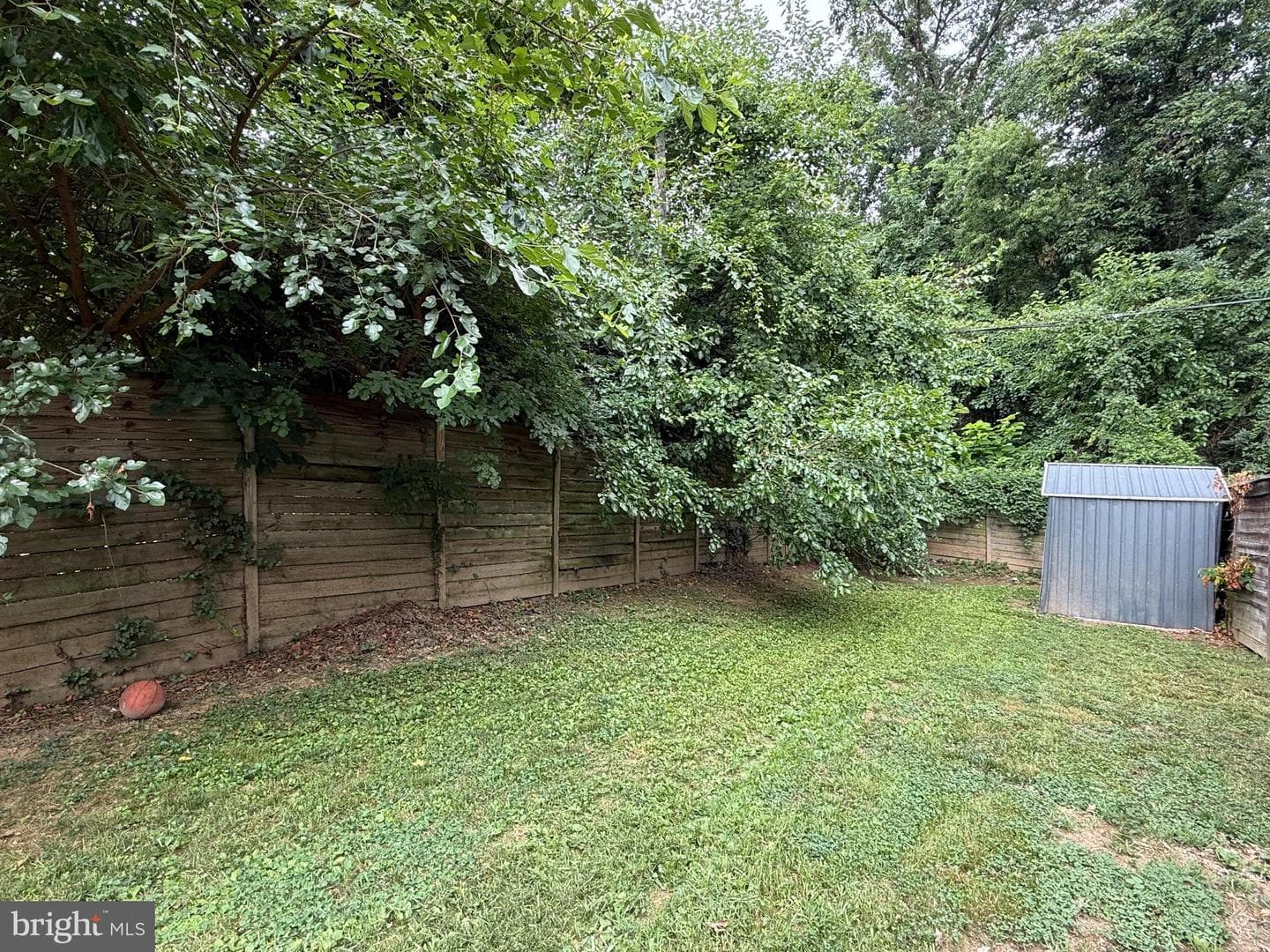 417 Burbank Street SE photo 29
