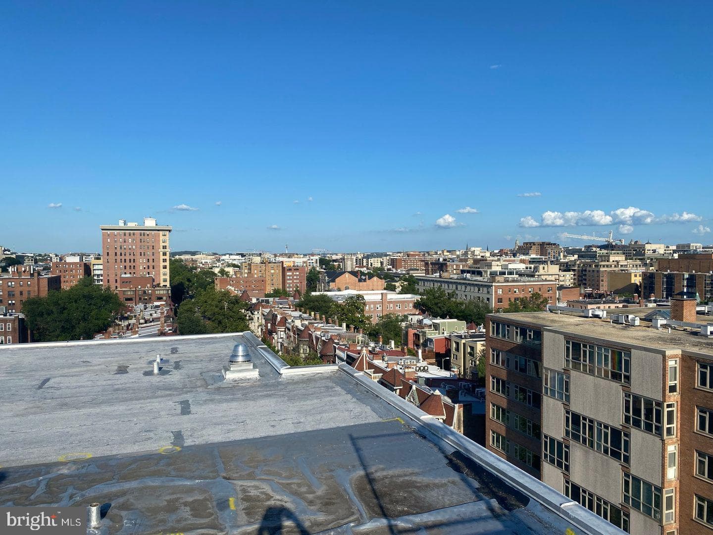 1601 18th Street NW #406 photo 26