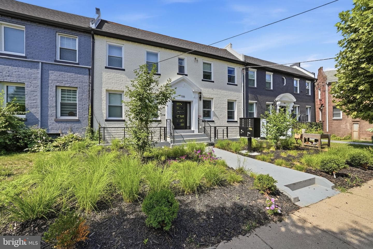 705 Quincy Street NE #4, Washington