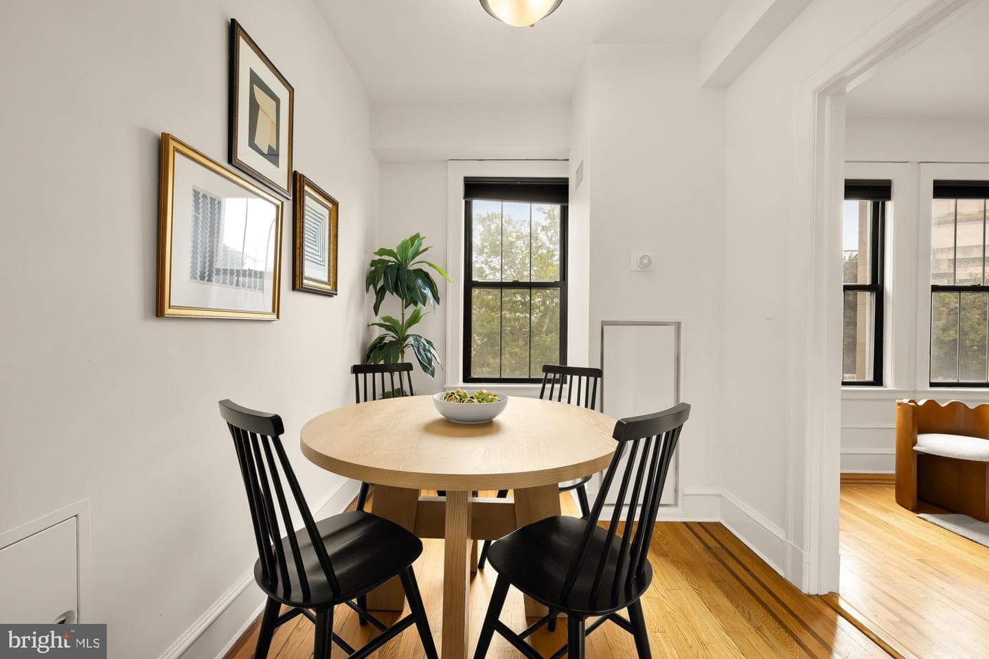 1613 Harvard Street NW #308 photo 8