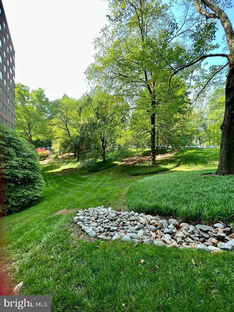 4200 Cathedral Avenue NW #912a photo 21