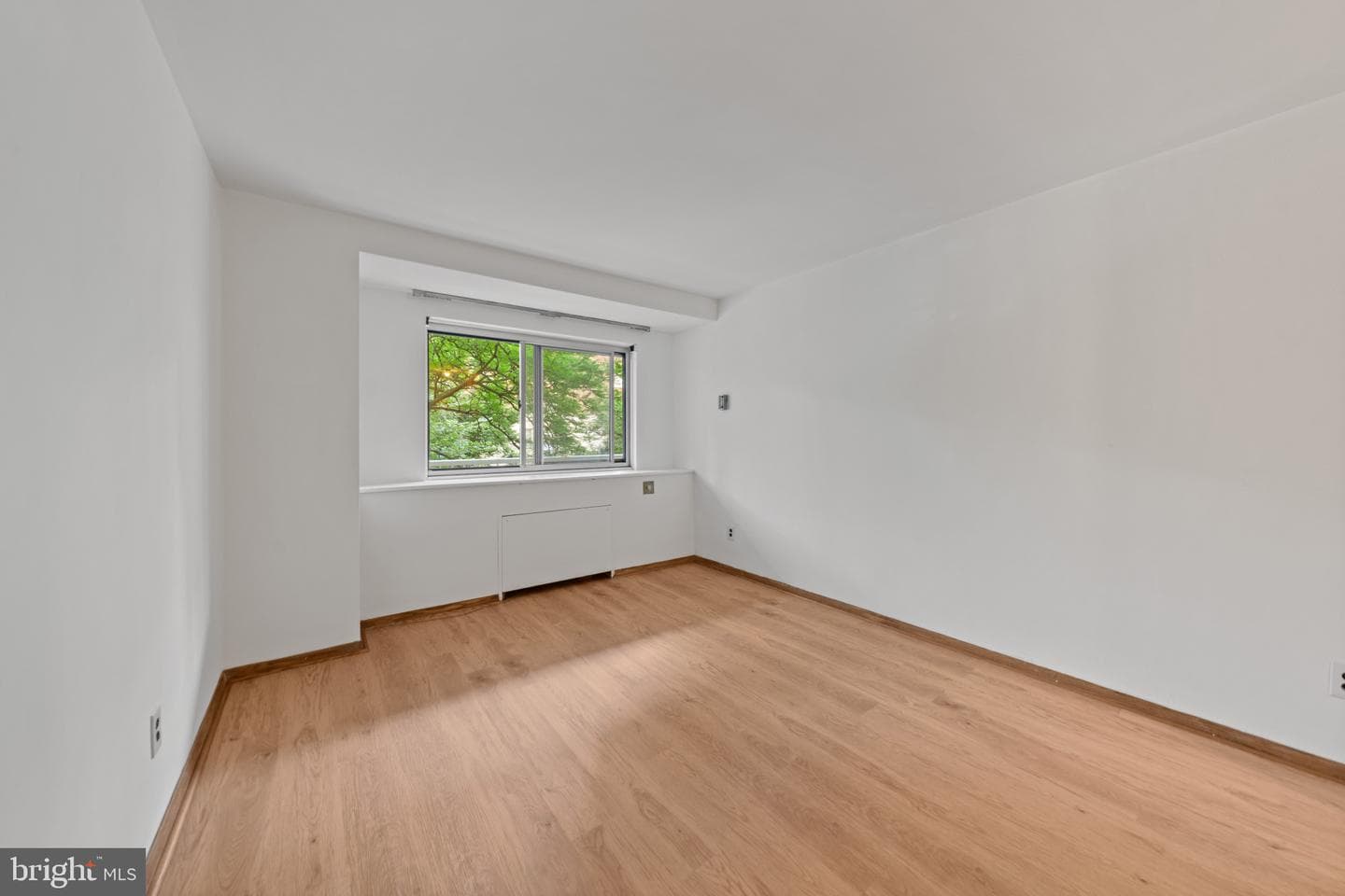 730 24th Street NW #206 photo 22