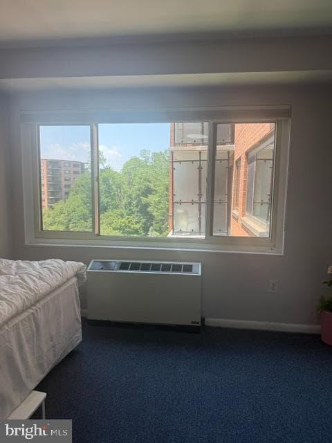 4201 Cathedral Avenue NW #1022e photo 12