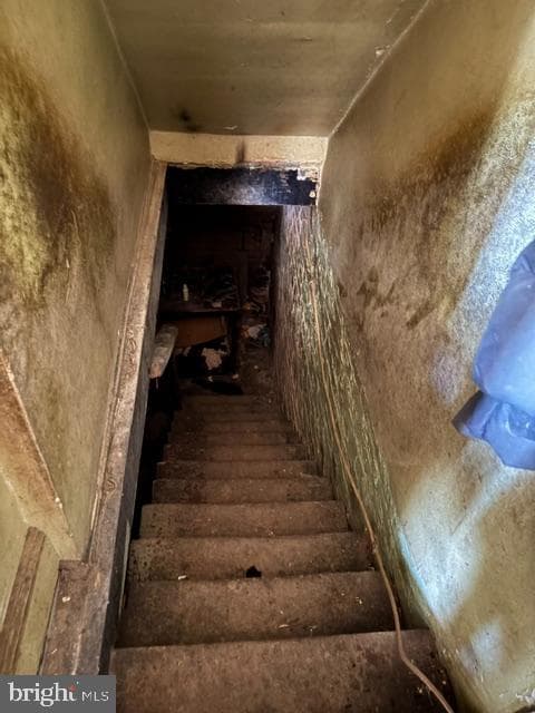 5623 8th Street NW photo 26