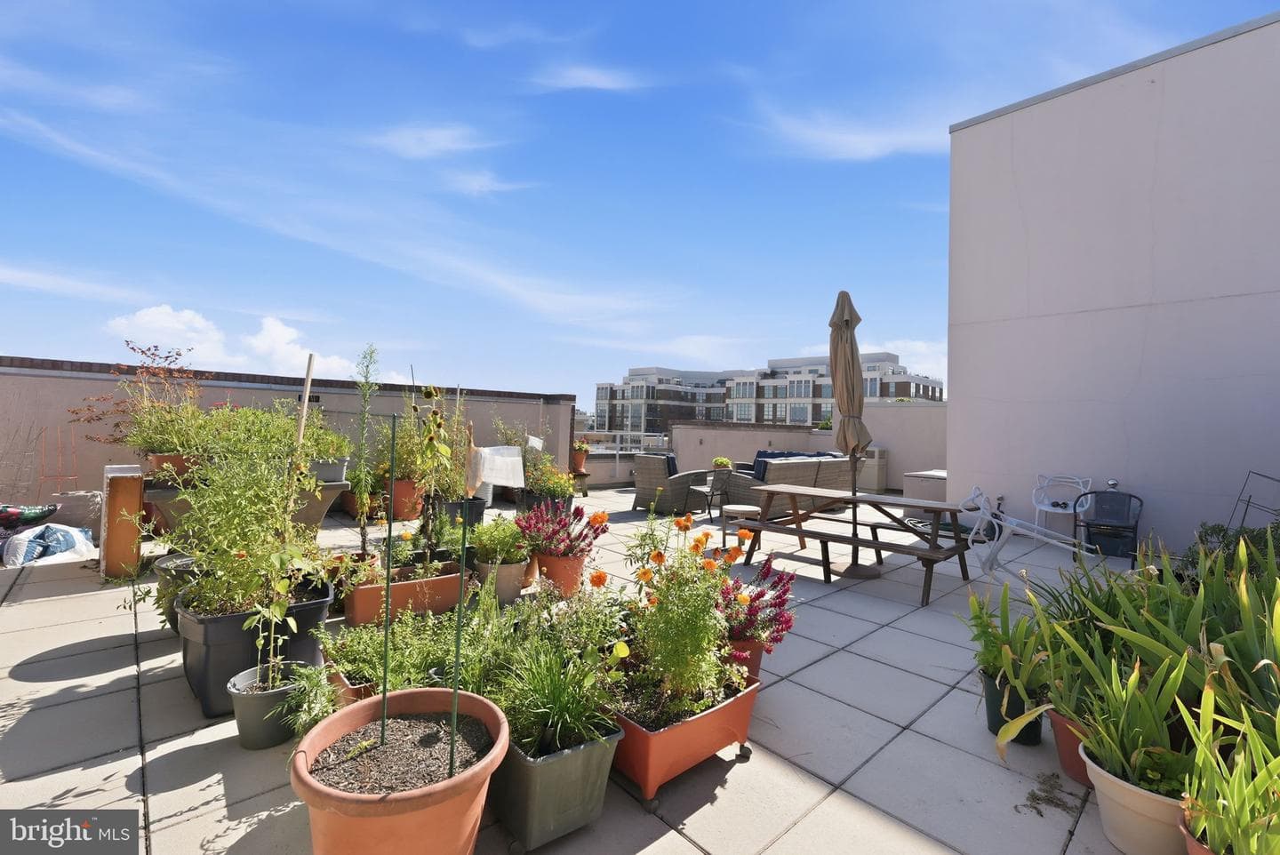 2100 11th Street NW #406 photo 18