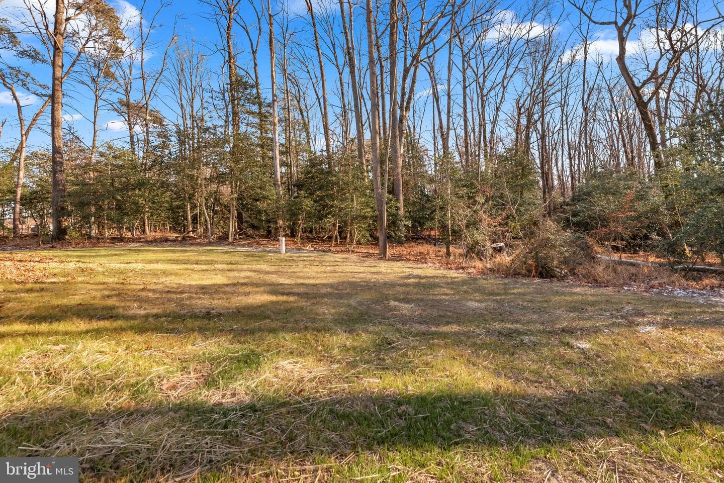 6504 Whitetail Crossing Way photo 79