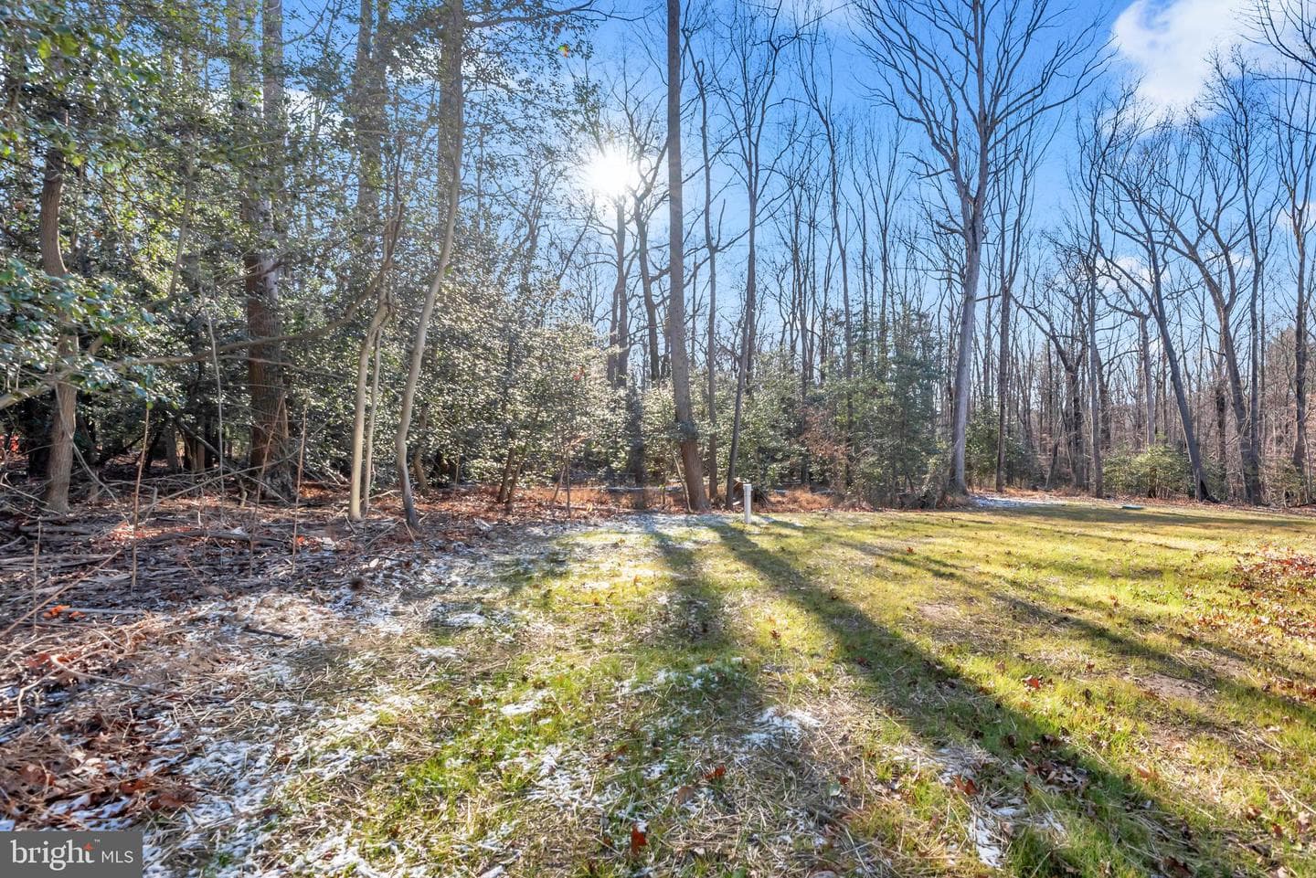 6504 Whitetail Crossing Way photo 80