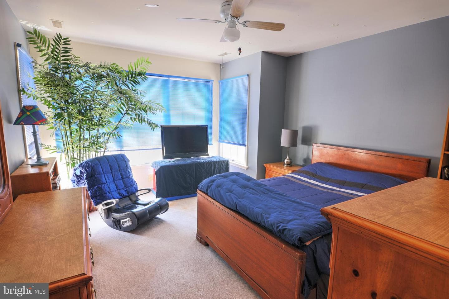 303 Maro Road photo 43