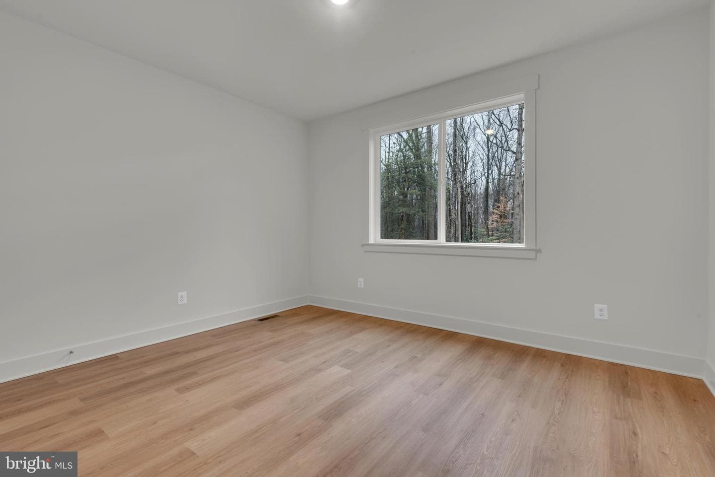 6502 Whitetail Crossing Way photo 16