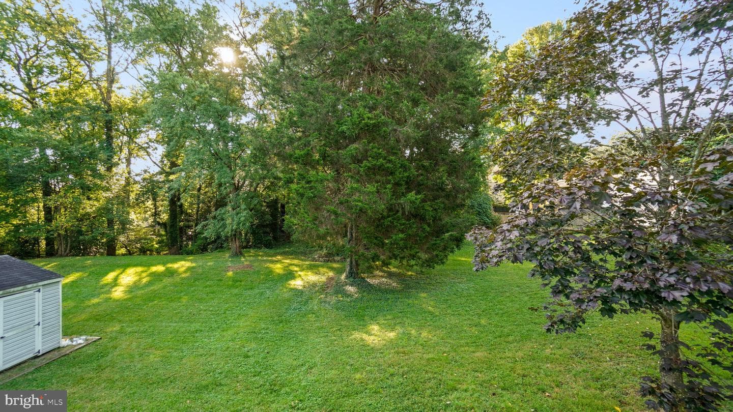 774 Dividing Creek Road photo 42