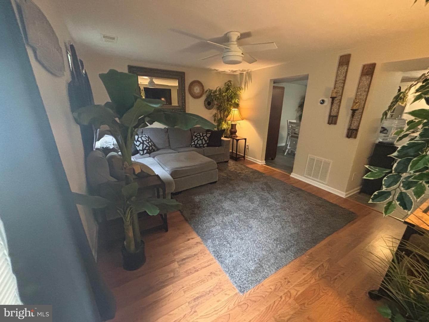 1553 Star Pine Drive photo 3