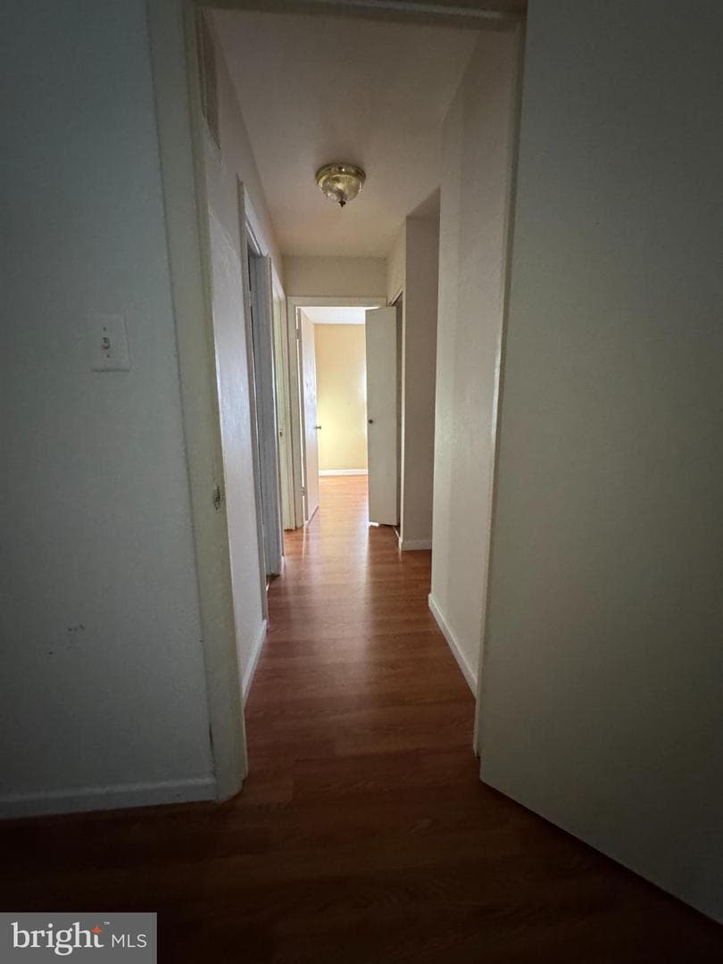 1823 Jaybird Court photo 4