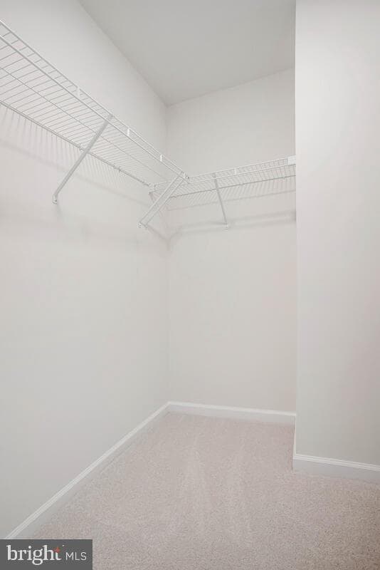404 Warwick photo 33