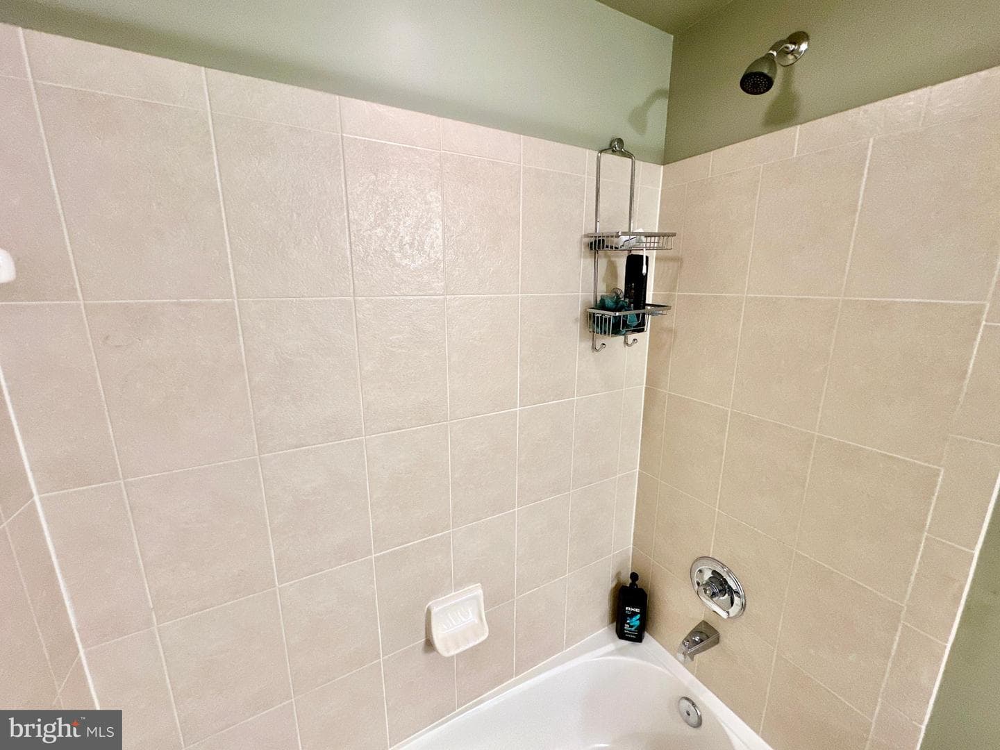 513 Broad Stream Lane photo 59