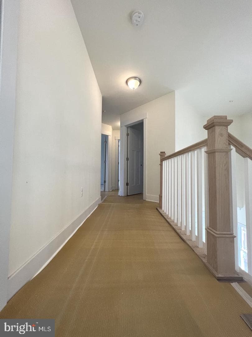 1217 Hampton Road photo 18