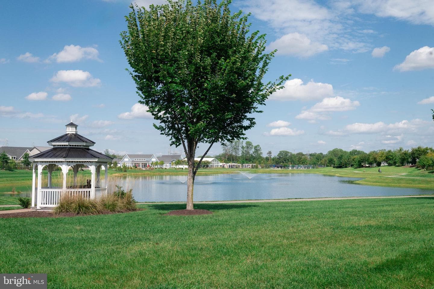 1508 Sandbar Willow Drive photo 55