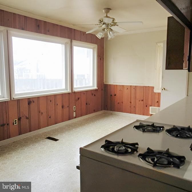 718 Mayo Road photo 25