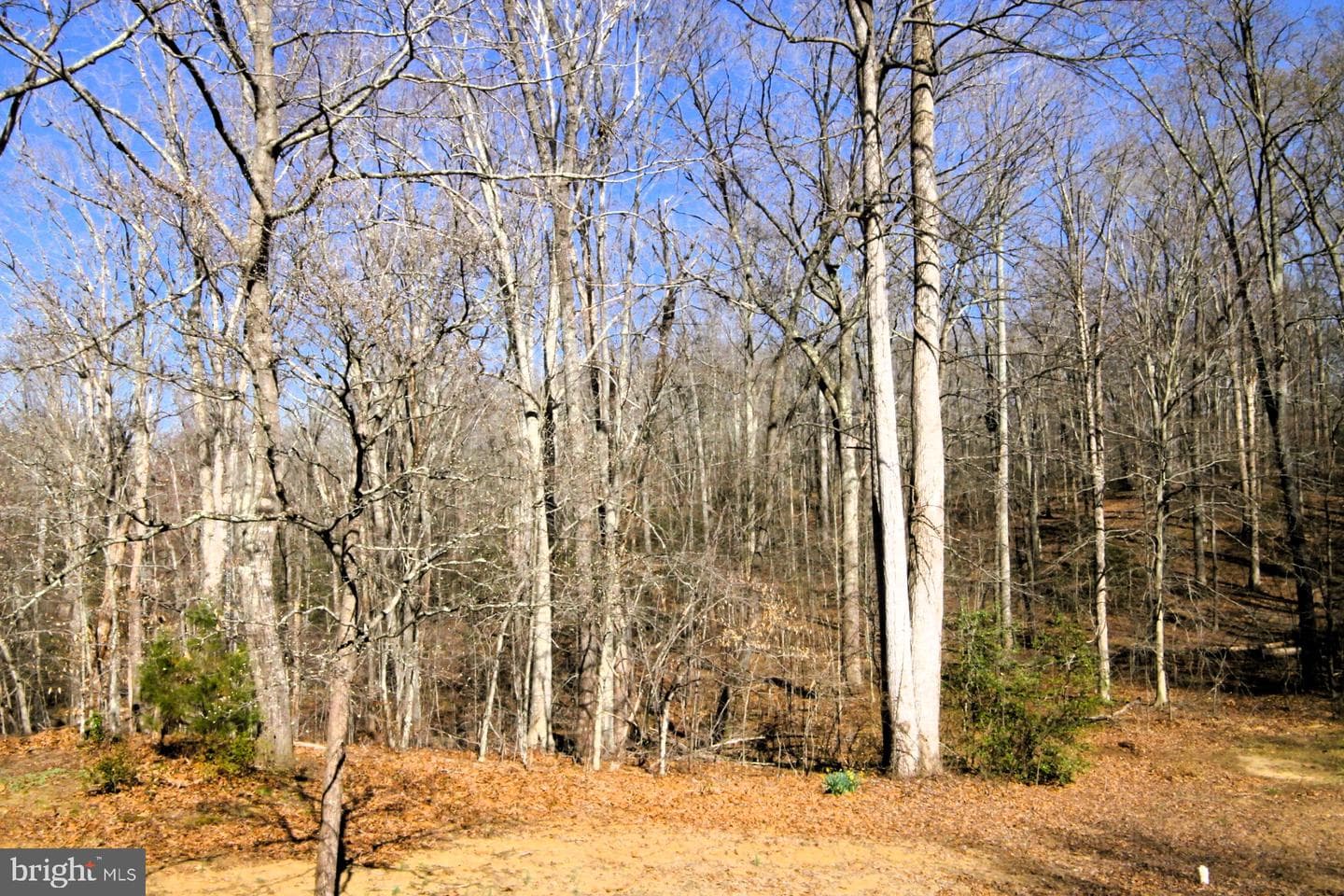 4695 Sands Road photo 47