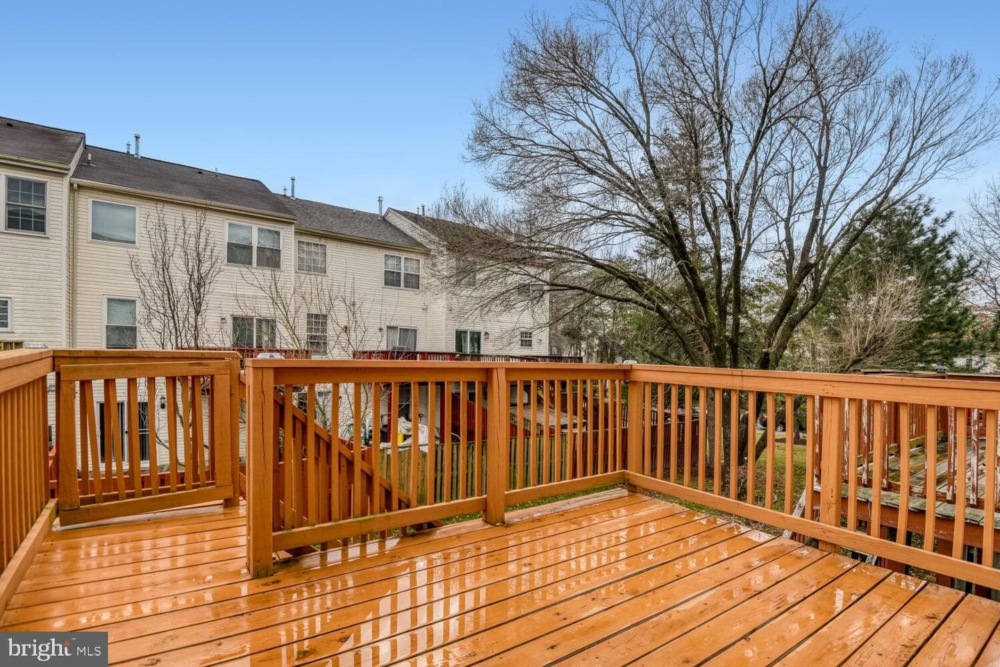 7974 Heather Mist Drive #85 photo 19