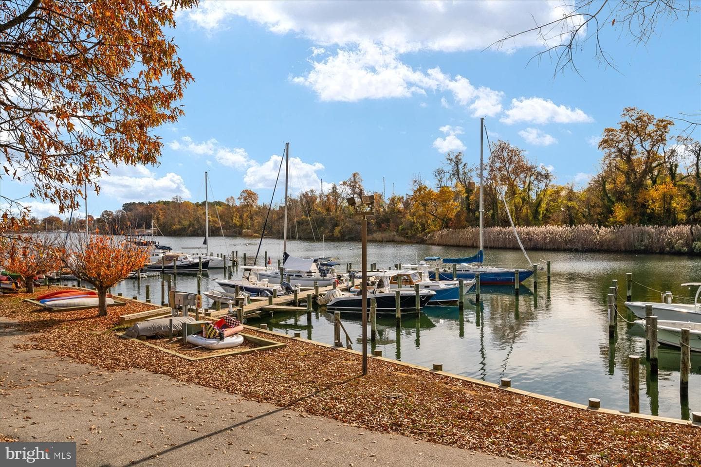 244 Puritan Place photo 88