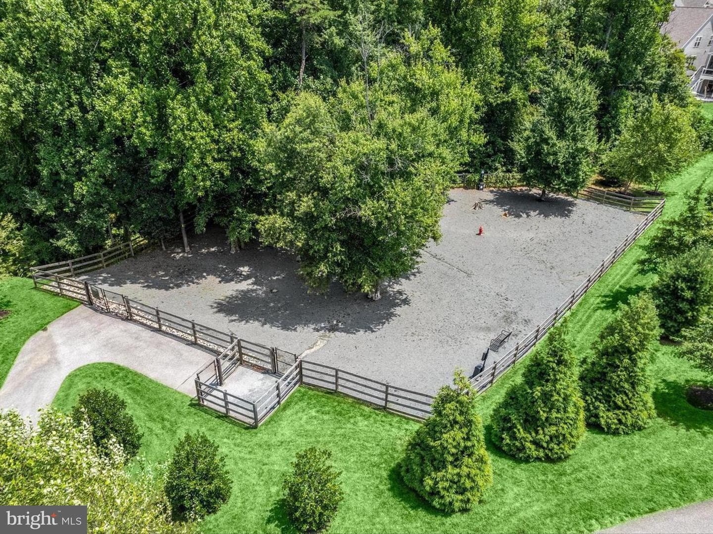 2816 Hyssop Drive photo 81