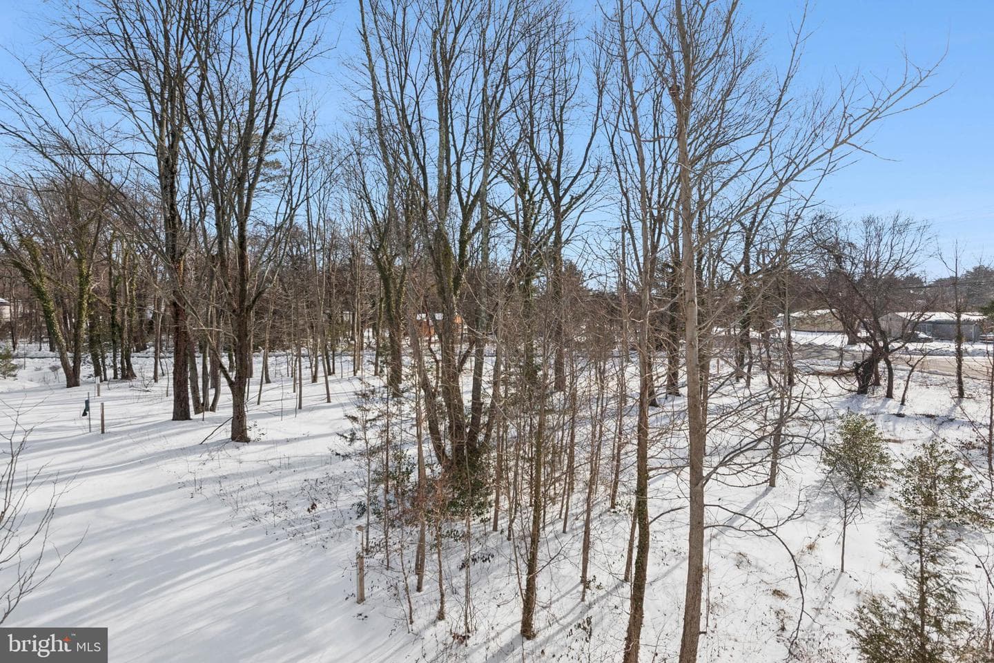 7830 Wolf Run Lane photo 33