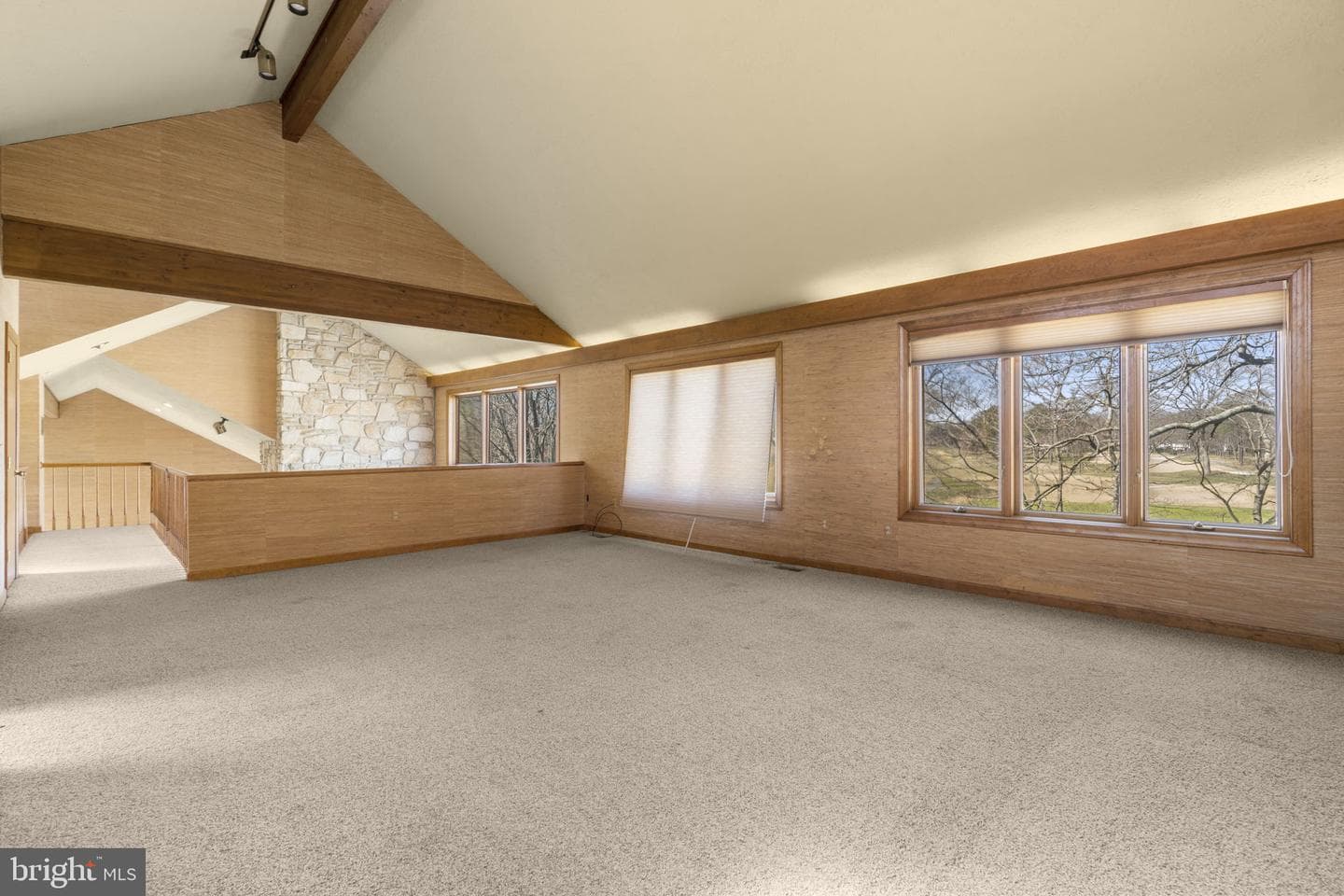 207 Saint Andrews Road photo 19