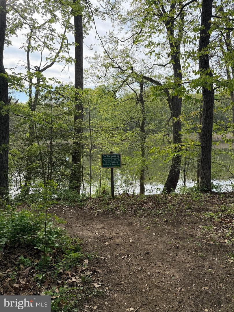 700 Pine Valley Court photo 41