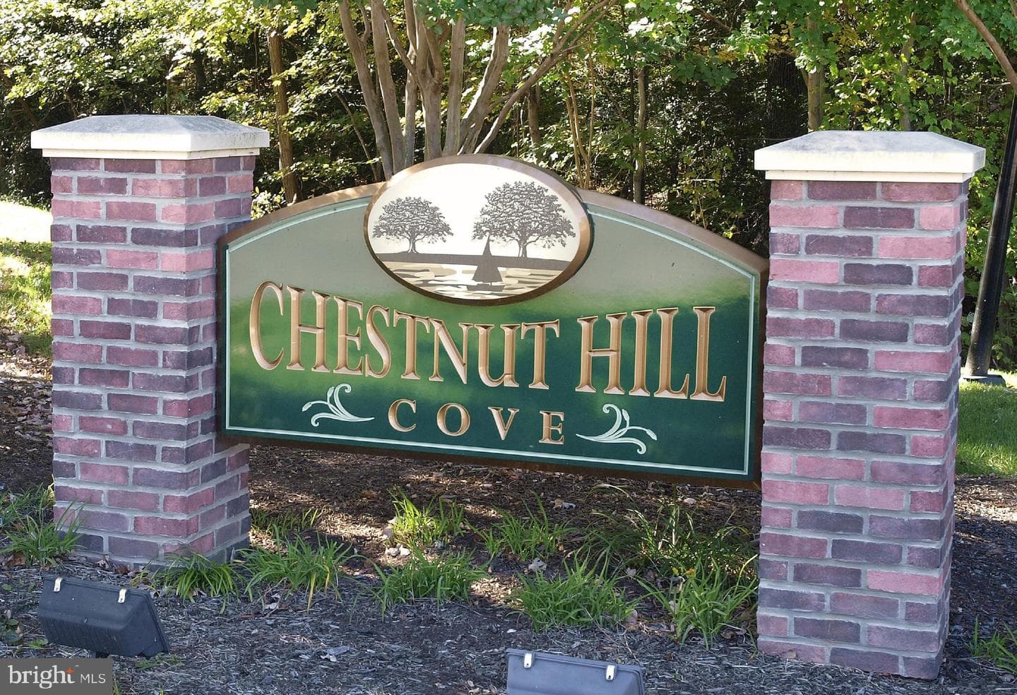 1035 Chestnut Cove Drive photo 39