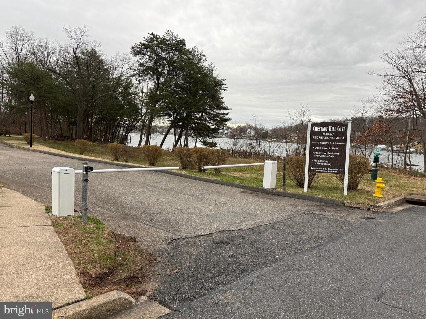 1035 Chestnut Cove Drive photo 41