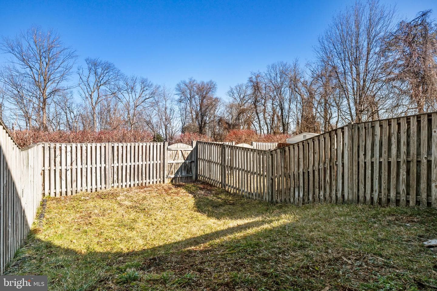 454 Renfro Court photo 20