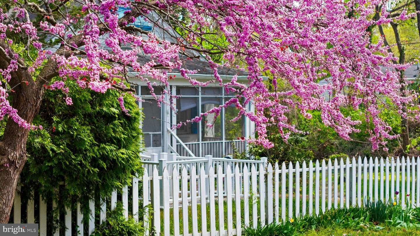 4 Shiley Street, Annapolis