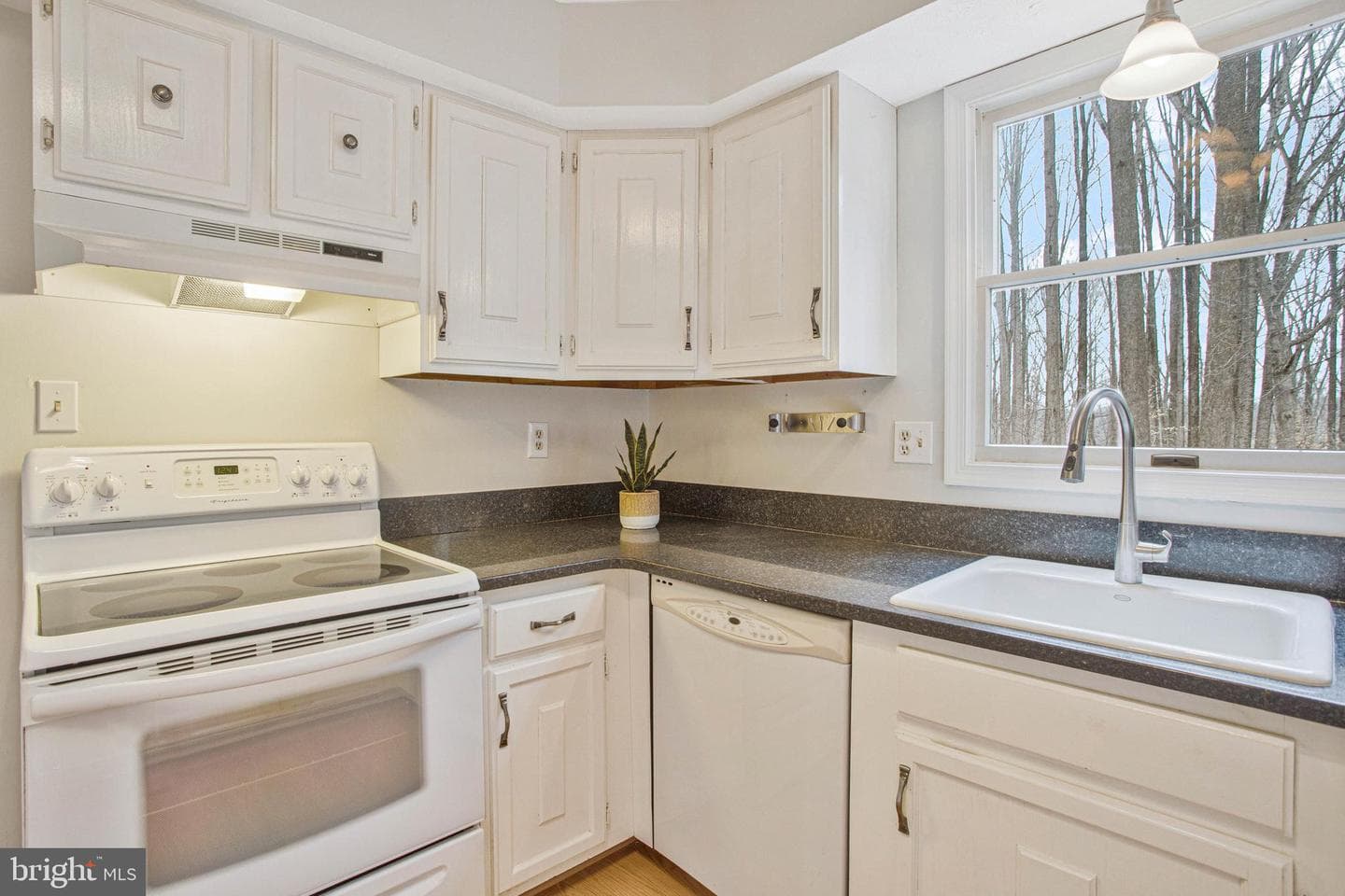 630 Rosewood Court photo 4