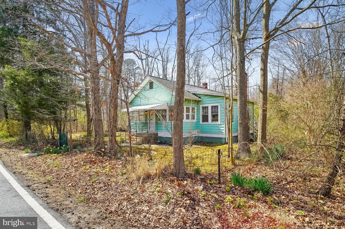 901 Walnut Avenue photo 41
