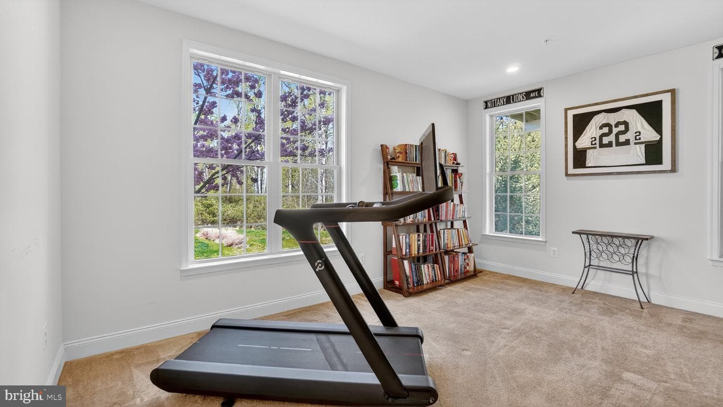 1313 Grand Canopy Drive photo 58