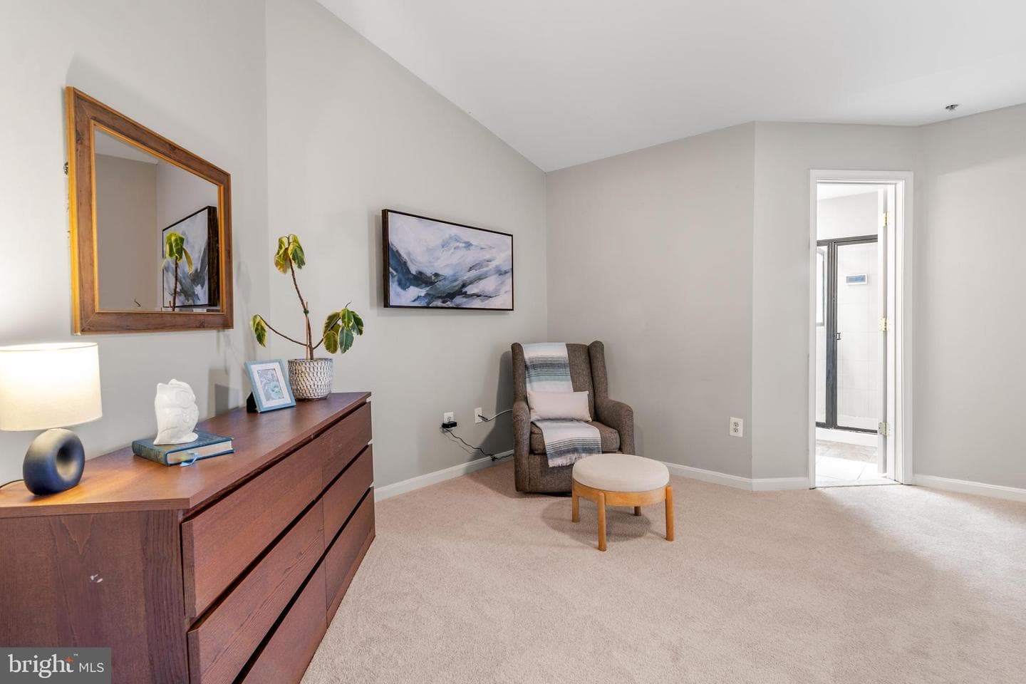 1010 Carbondale Way photo 39