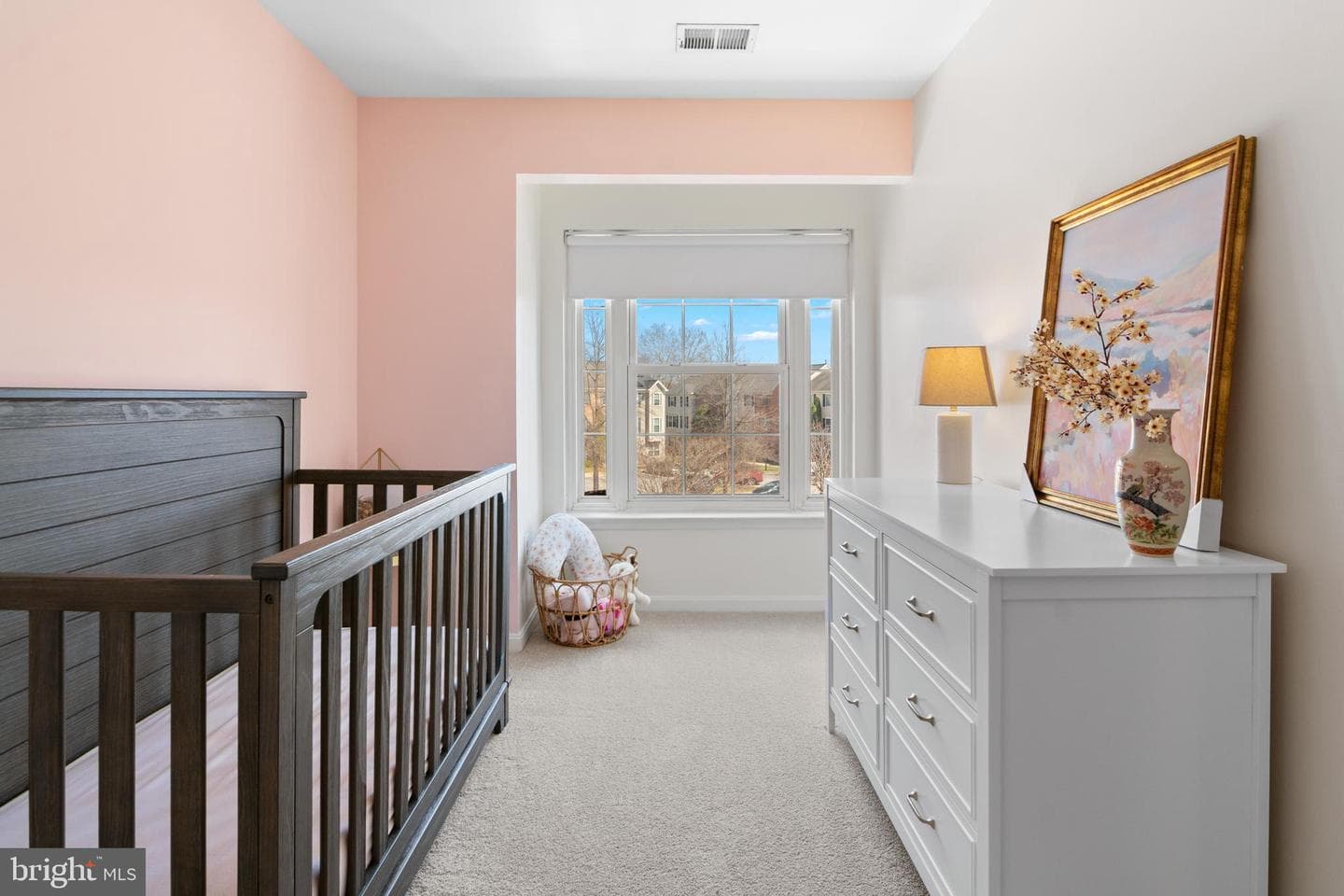 1010 Carbondale Way photo 52