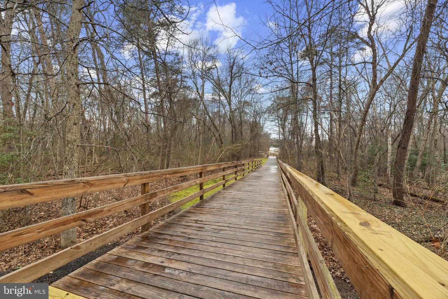 220 Cypress Ridge Drive photo 44