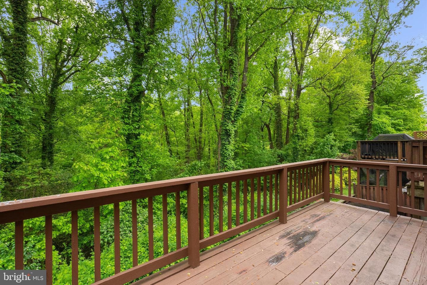 557 Bay Dale Court photo 49
