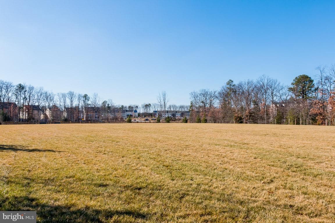 520 Kinglets Roost Lane photo 86