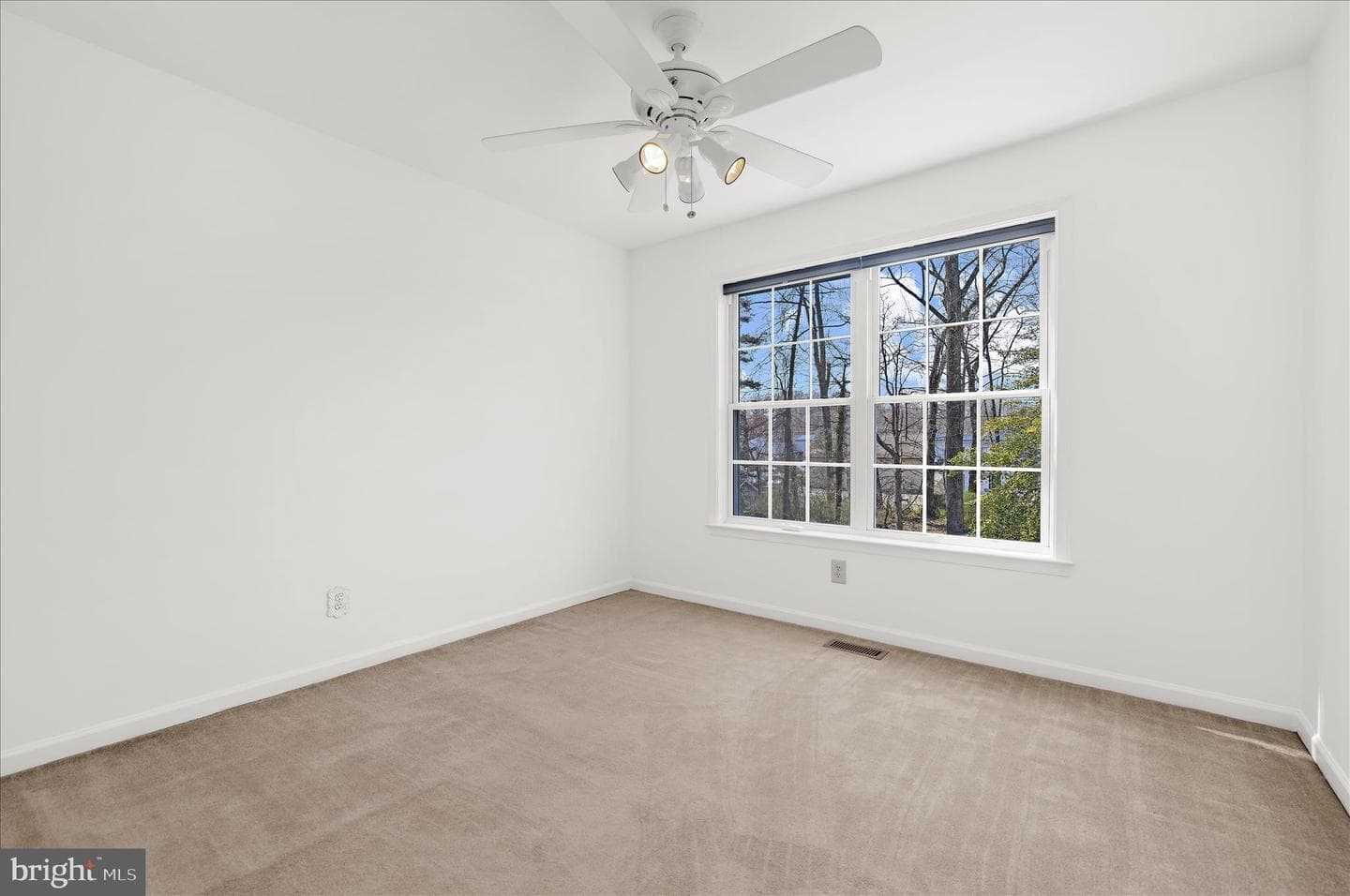 92 Clifford Boulevard photo 31