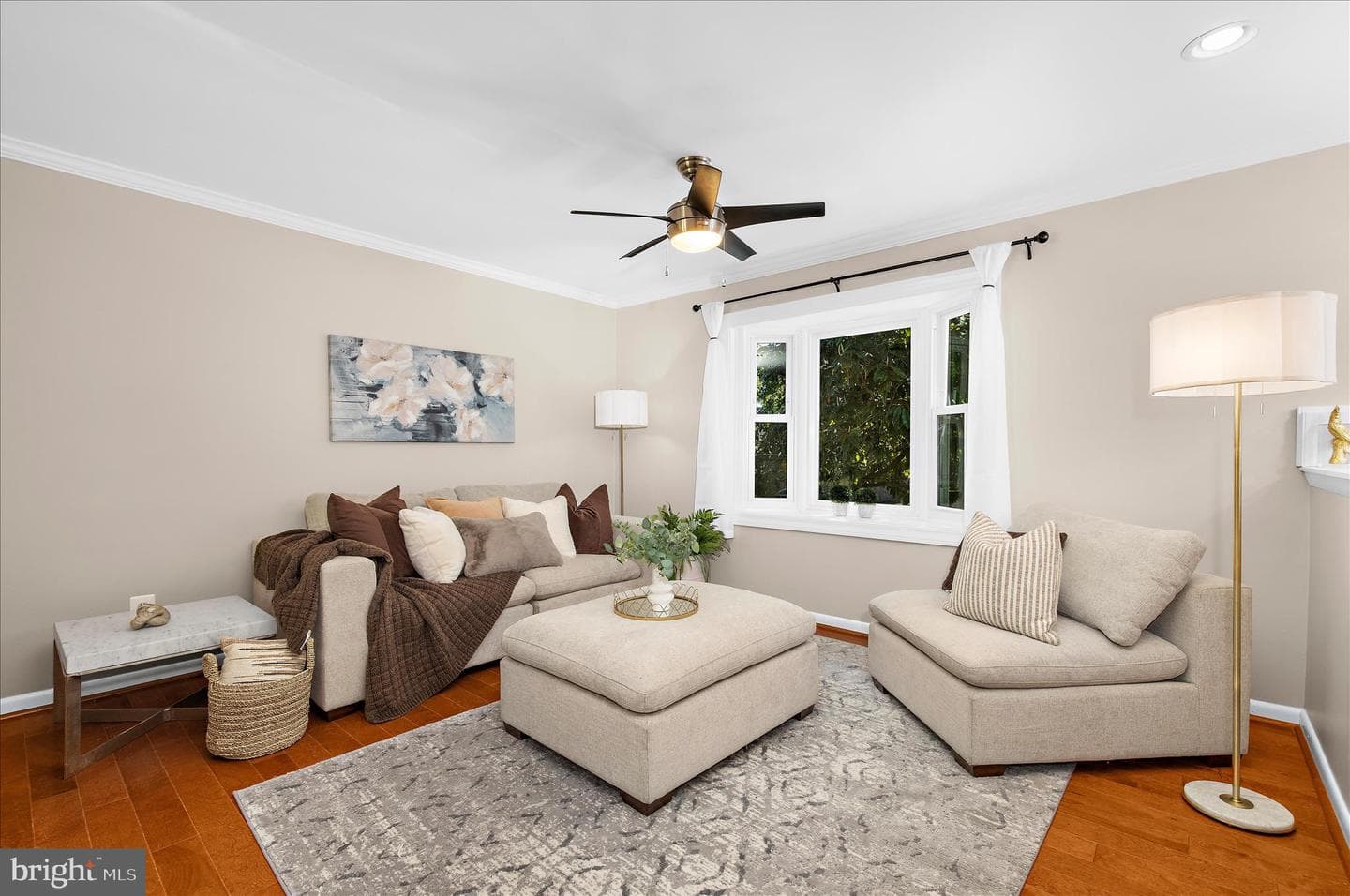 1231 Van Buren Drive photo 3