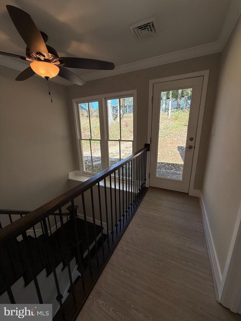 453 Walnut Drive photo 9