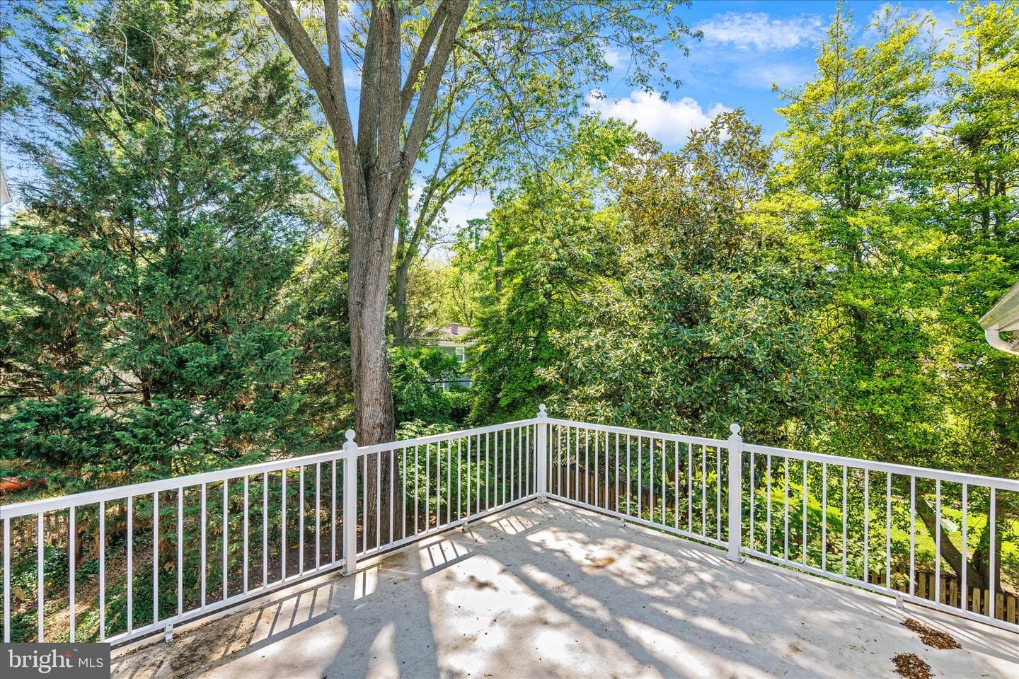 317 White Plains Court photo 30