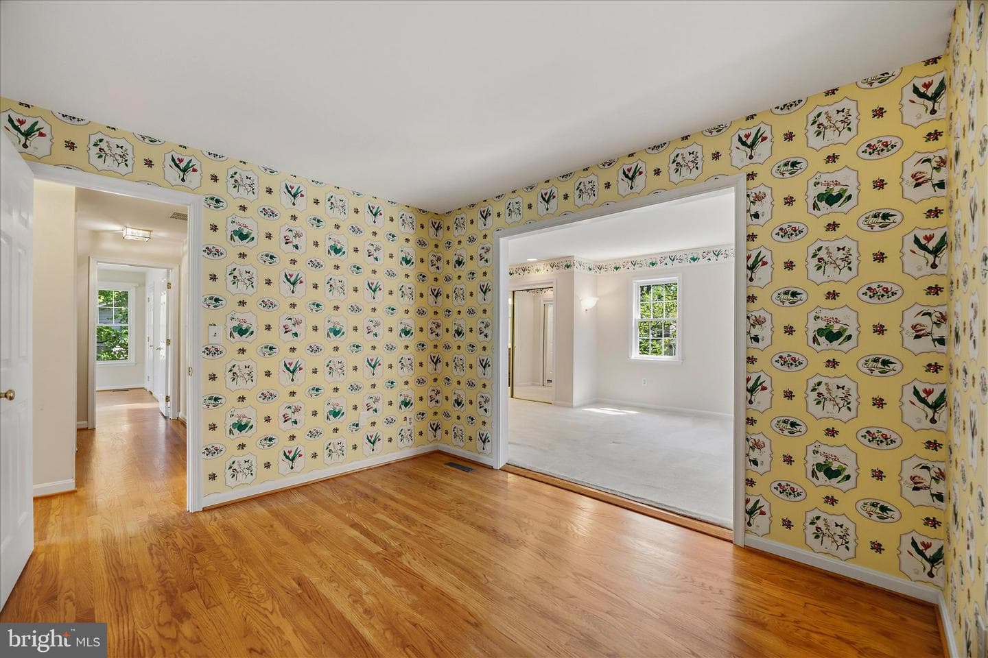 317 White Plains Court photo 35